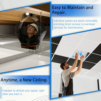 BaseNoir Drop Ceiling Grid System Complete Kit, Black & White Options