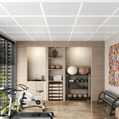 BaseNoir 2Ft Cross Tee Drop Ceiling Grid System, Black & White Options